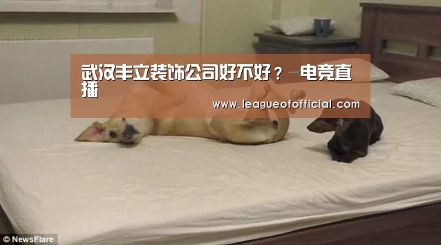 LOL英雄联盟投注 - 官方电竞竞猜平台官网