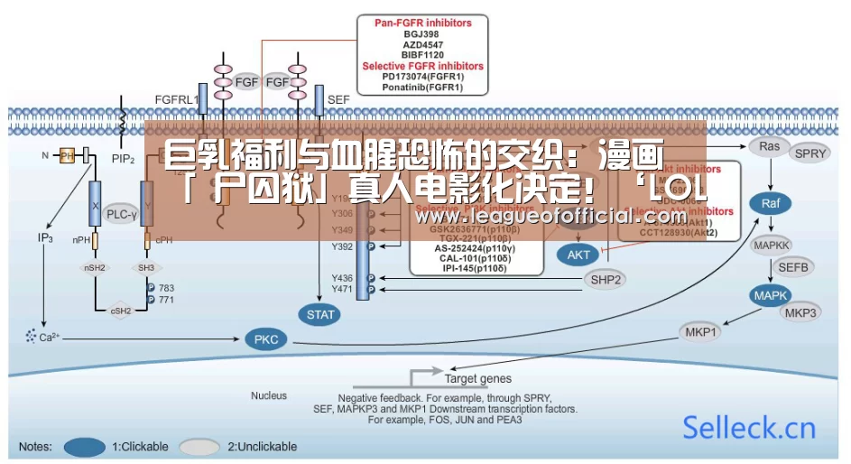 LOL英雄联盟投注 - 官方电竞竞猜平台官网